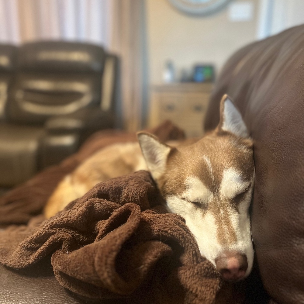 Meet your Posher, Terrell